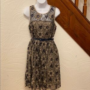 Ann Taylor LOFT Lace Dress Women Black Tan Floral‎ Belted Fit Flare 6
